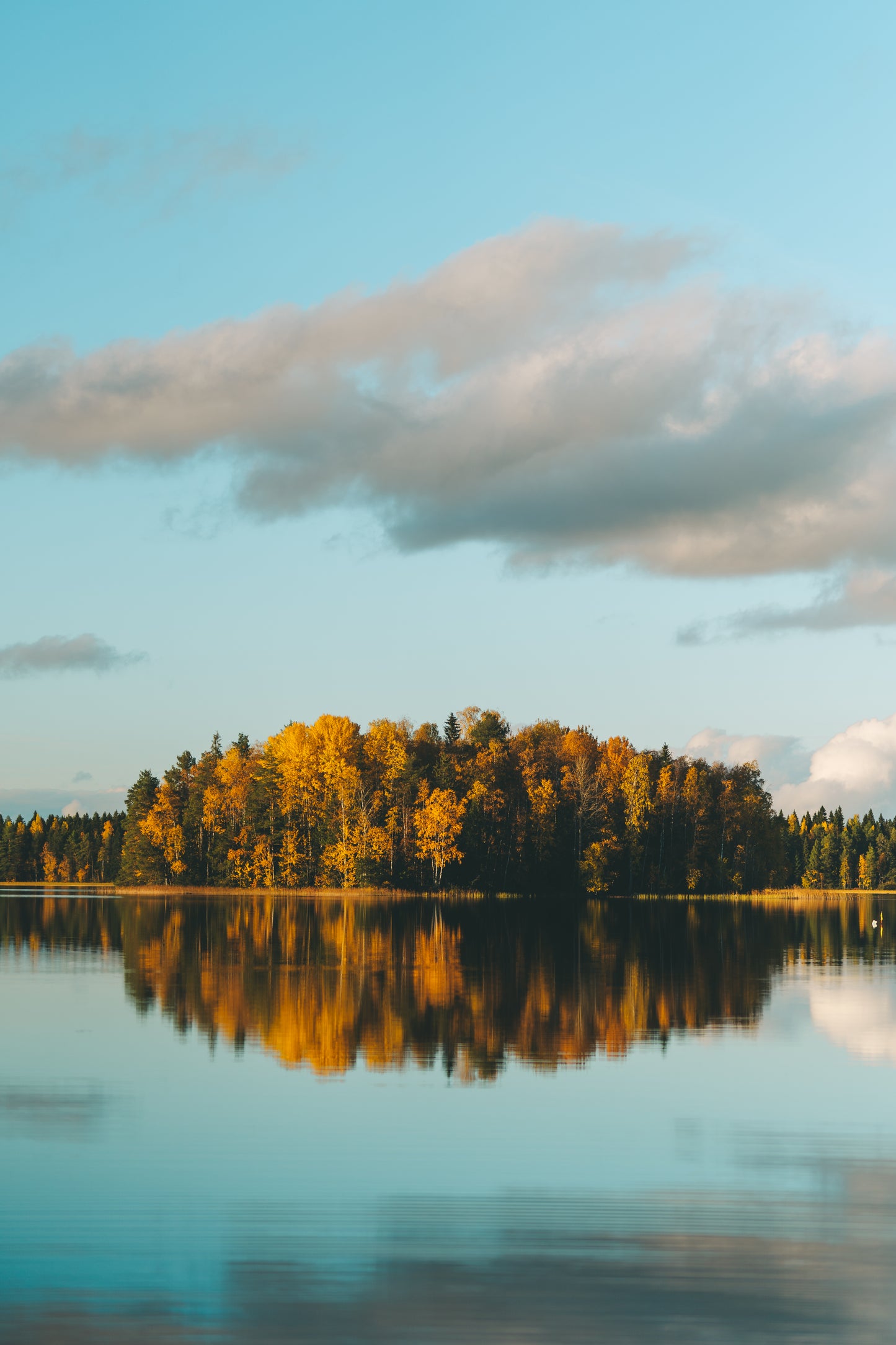 Autumn Island | Signature Edition