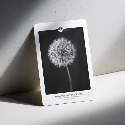 Magic of the Dandelion | Inspirational Message Card