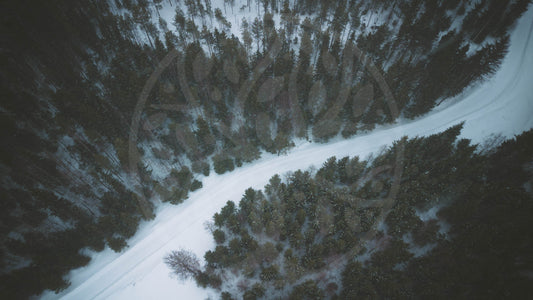 Moody winter forest road | Image
