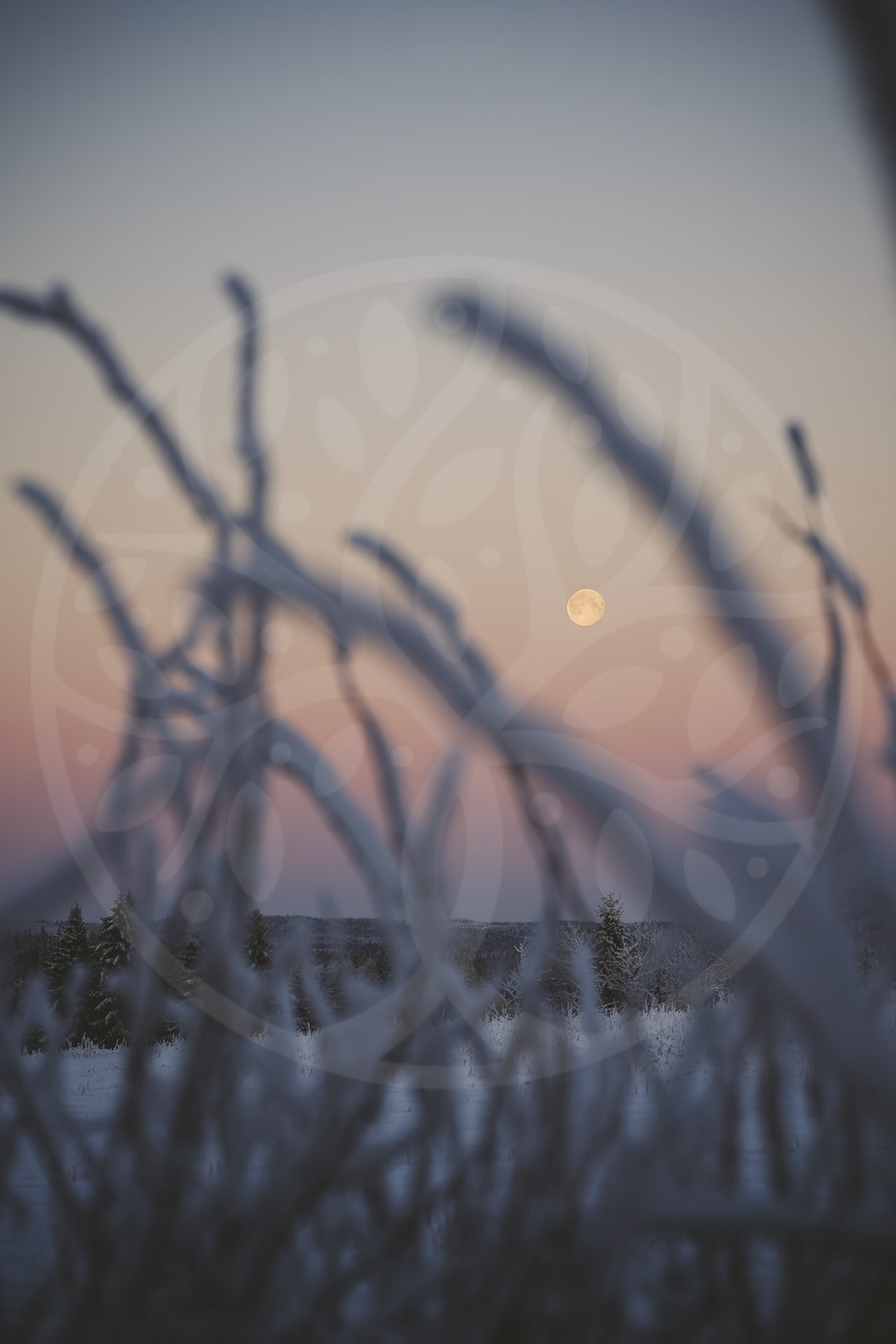 Full Moon over Finnish winter | Image
