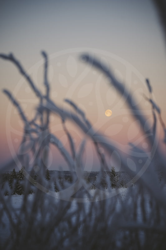 Full Moon over Finnish winter | Image